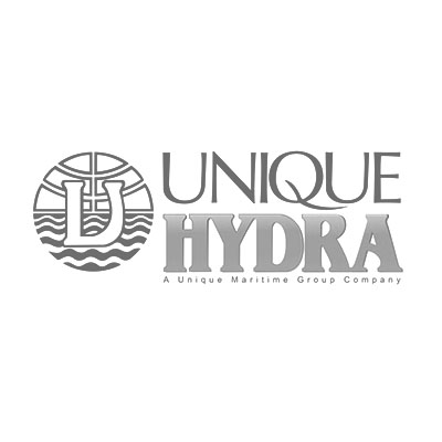 grey_0003_unique-hydra-logo
